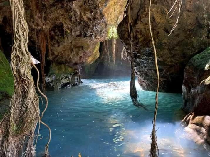 Pochote Lodge Guayabo  ภายนอก รูปภาพ