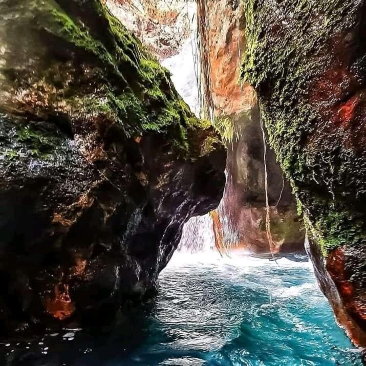Pochote Lodge Guayabo  ภายนอก รูปภาพ