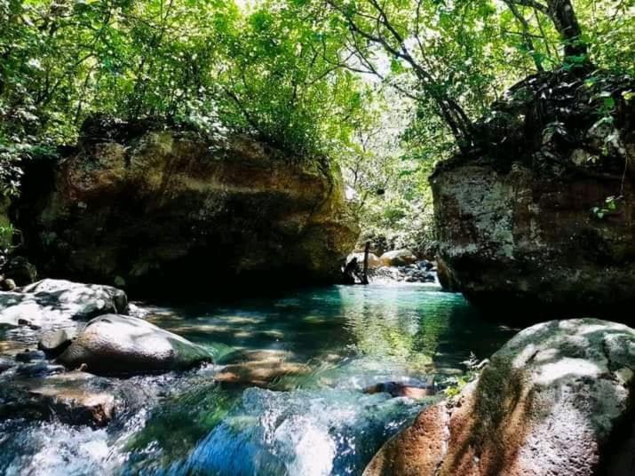 Pochote Lodge Guayabo  ภายนอก รูปภาพ