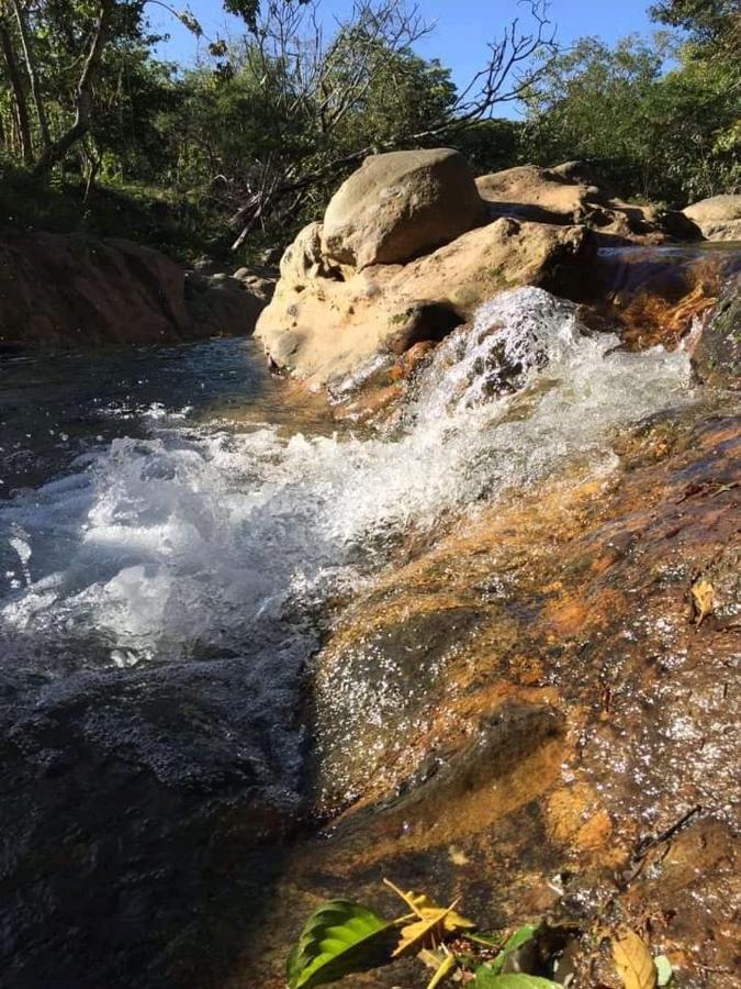 Pochote Lodge Guayabo  ภายนอก รูปภาพ