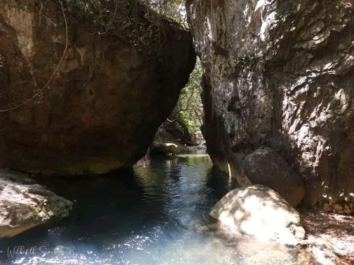 Pochote Lodge Guayabo  ภายนอก รูปภาพ