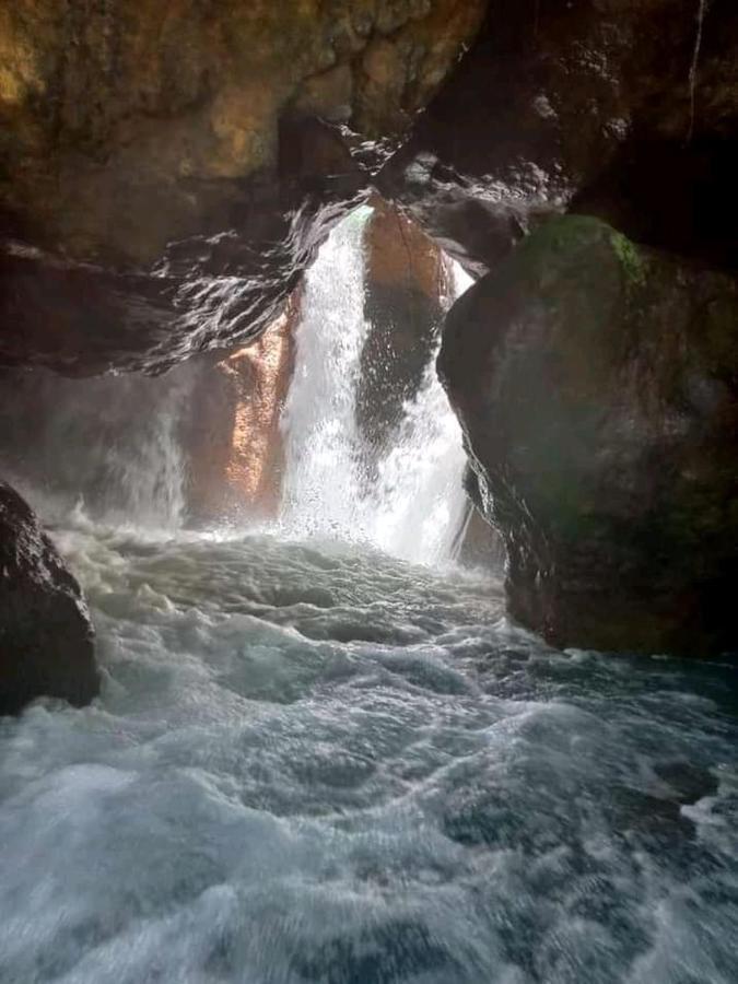 Pochote Lodge Guayabo  ภายนอก รูปภาพ