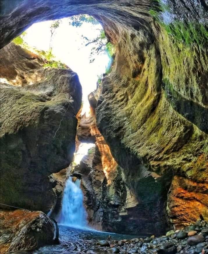 Pochote Lodge Guayabo  ภายนอก รูปภาพ