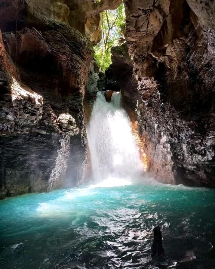Pochote Lodge Guayabo  ภายนอก รูปภาพ