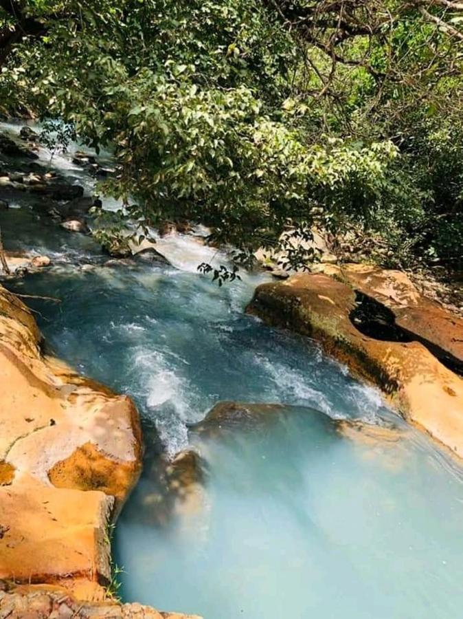Pochote Lodge Guayabo  ภายนอก รูปภาพ