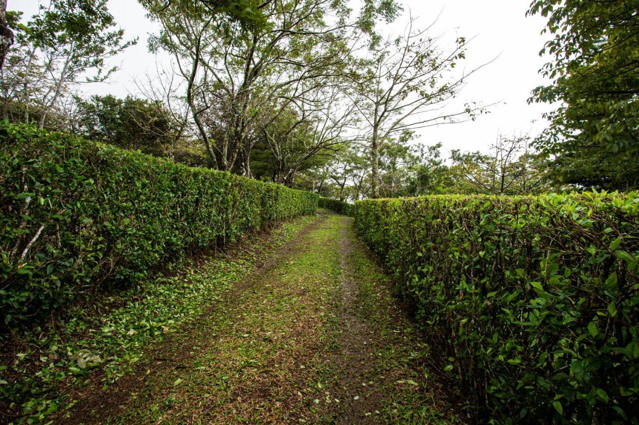 Pochote Lodge Guayabo  ภายนอก รูปภาพ